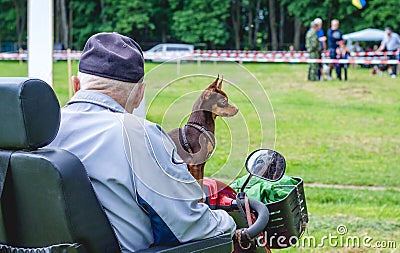 An old man on a quad bike with a dog breed russian toy terrier_ Stock Photo