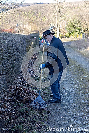 Old man raking fallen leaves in the garden, senior man gardening Stock Photo