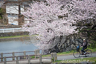 The old man riding a bicycle at Kajo Park Editorial Stock Photo