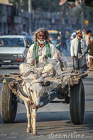 Old man riding donkey cart Editorial Stock Photo