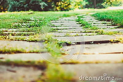 Tiles on grass Stock Photo