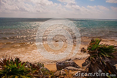 Old Maya Beach in Tulum, Mexico, Yucatan, Riviera Maya. Beautiful Tropical landscape and Caribbean sea on a Sunny day Stock Photo