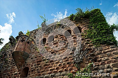 Old medieval fortress ruins of Chateau Landsberg in deep forest Stock Photo