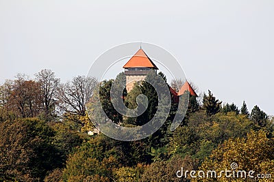 Old medieval town castle with newly renovated roof completely surrounded and hidden with dense tall forest trees on top of hill Stock Photo