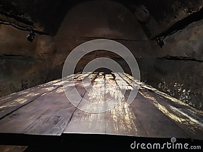 The old moldy wood mass Stock Photo