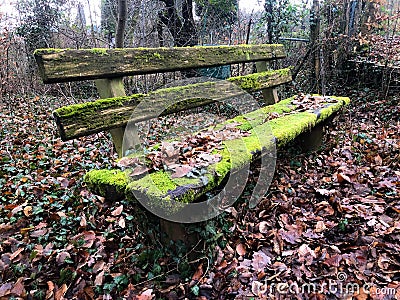 Old mossy weathered wooden bench Stock Photo