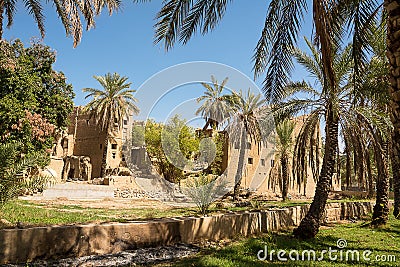 Old mud houses and palm tree in the old village of Al Hamra Stock Photo