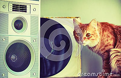 Old music speaker in foreground, red cat and record Stock Photo