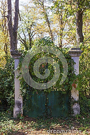 Old mystical door from the residence of Prince Alexander Battenberg Stock Photo