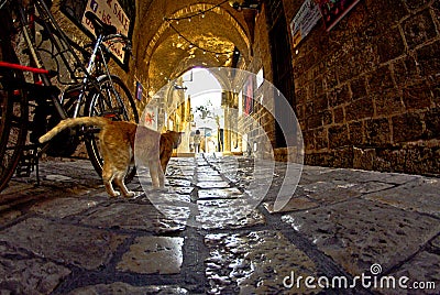 The old narrow streets of Jaffa Editorial Stock Photo