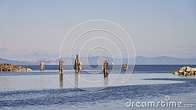 Old ocean pilings in a calm, serene ocean with a breakwater on either side and a slight pink sk Stock Photo