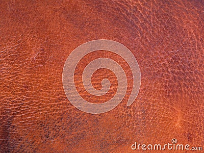 Old orange brown cattle leather texture background Stock Photo