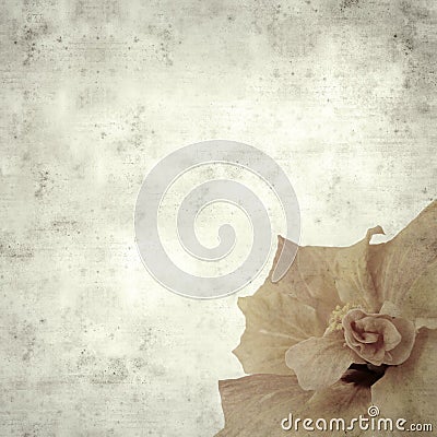 Old paper background Stock Photo