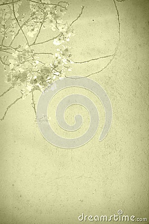 Old paper flower textures Stock Photo