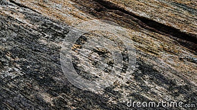 Old patterned wood texture pattern Stock Photo