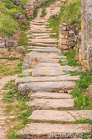 Old paved road Stock Photo