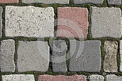 Old pavement of colored stones with growing the moss in the seam Stock Photo