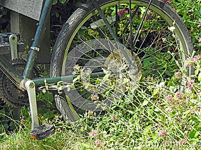 Old peddle bicycle wheel in wild garden overgrown meadow Stock Photo