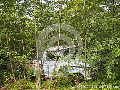 Old pick-up truck abandoned rusting away in forest Stock Photo