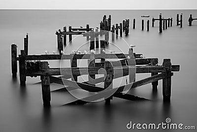 Old pier and seagulls Stock Photo