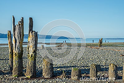 Old Pilings on Stony Beach Stock Photo