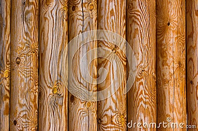 Old pine logs Stock Photo