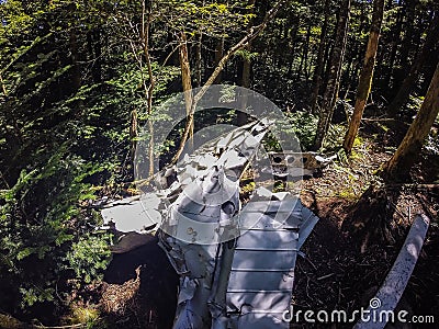 Old plane crash slowly dissolves in the forest Stock Photo