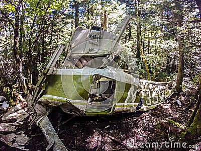 Old plane crash slowly dissolves in the forest Stock Photo