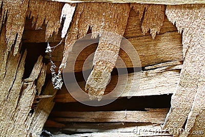OLD Plywood THAT HAS BEEN Torn AND THAT HAS A HOLE Stock Photo
