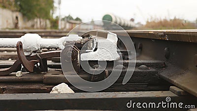 Summary In The View From The Bottom Rail