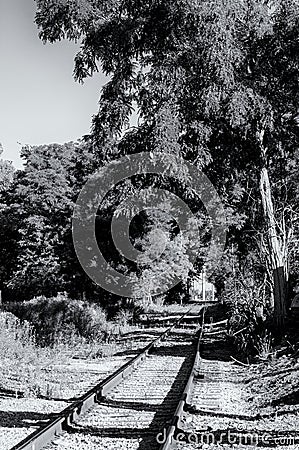 Old railroad track Stock Photo