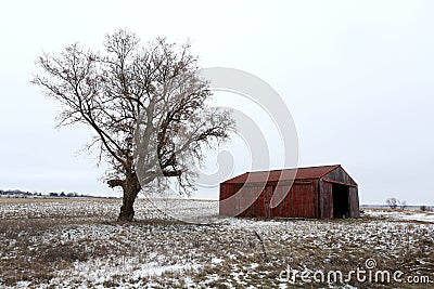 Old Red Barn and Bare Tree in Winter in Illinois Stock Photo