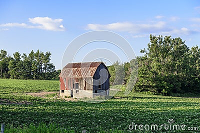 Old red barn on green farmers field Stock Photo