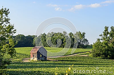 Old red barn on green farmers field Stock Photo