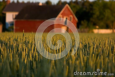 Old red country barn Stock Photo