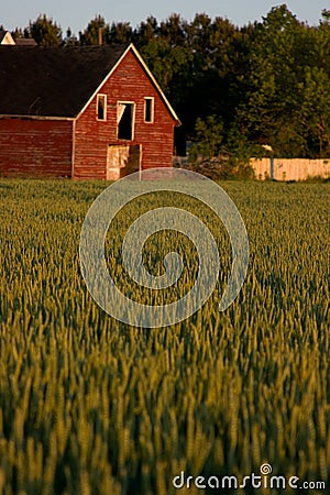 Old red country barn Stock Photo