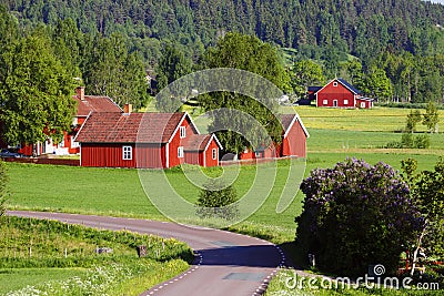 Old red farms in a green landscape Stock Photo