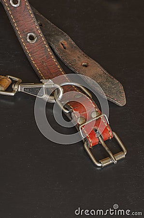 Old red leather dog collar with a leash Stock Photo