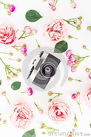 Old retro camera and roses, buds and leaves on white background. Flat lay, top view. Vintage background. Stock Photo