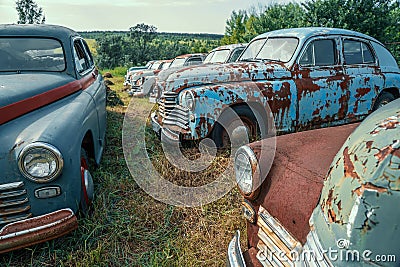 Old retro rusty abandoned cars in green grass Stock Photo