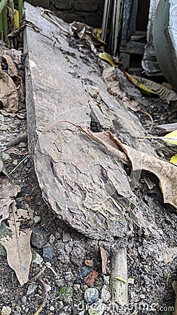 old rotten wooden planks Stock Photo