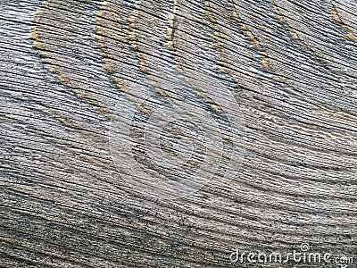 Old and rough wooden texture background close up macro Stock Photo