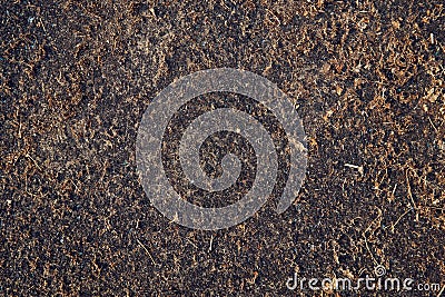 The old rubber coating for sports. Closeup texture, rubber Stock Photo