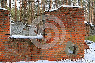 Old ruin in forest Stock Photo