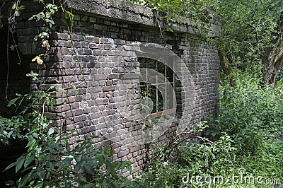 Old ruine in forest Stock Photo