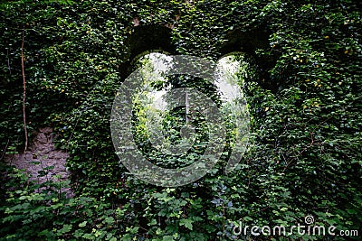 Old ruins of historical building overgrown by vegetation green post-apocalyptic concept Stock Photo