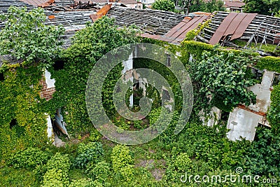 Old ruins of historical building overgrown by vegetation green post-apocalyptic concept Stock Photo