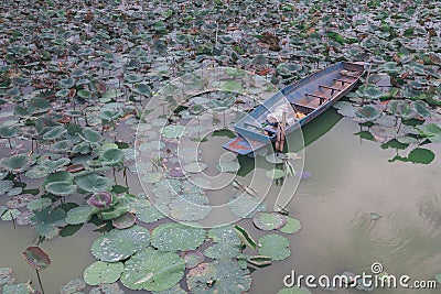 Old rusted ship in the middle of the pool. Stock Photo