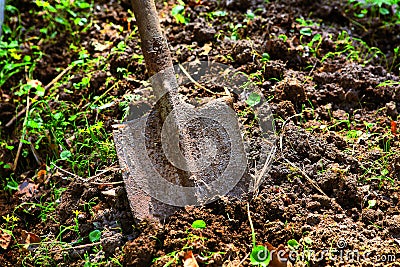 Old rusted shower in the spring seedbed Stock Photo