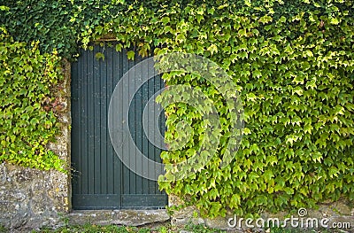 Old Rustic door Stock Photo